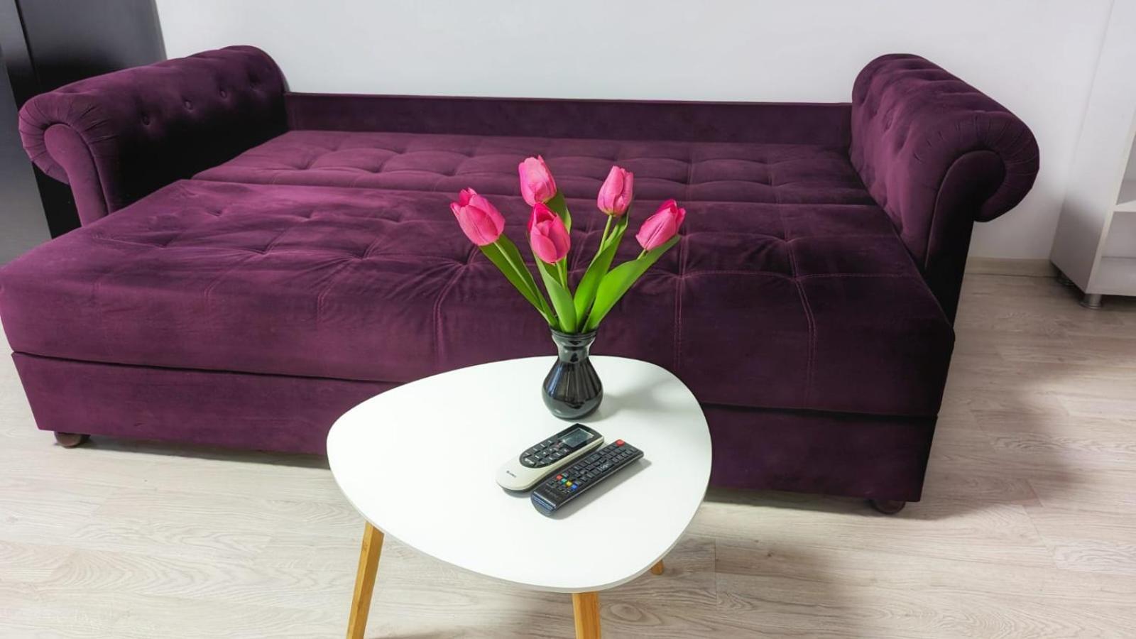 Airport Apartment 70 Squared Meters Otopeni Dış mekan fotoğraf